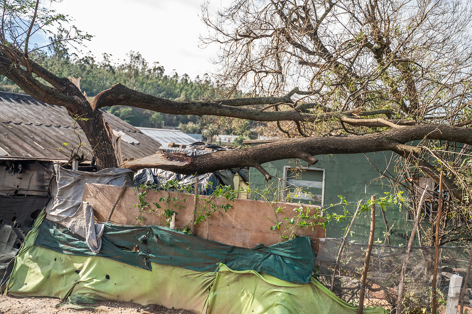 Storm damage in The Valley, George — rebuild appeal